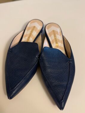 Nicholas Kirkwood Navy Pointed-Toe Leather Mules
